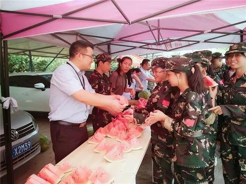 娱乐群吃瓜群众,吃瓜群众的热议焦点大盘点