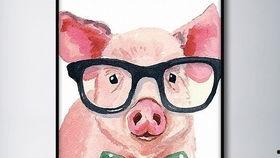 猪头娱乐吃瓜,揭秘娱乐圈背后的那些事儿