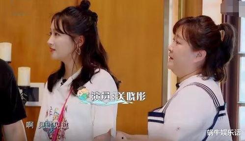 娱乐吃瓜酱人贩子小说,一场惊心动魄的悬疑大剧