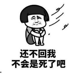 吃瓜表情包怎么回复女孩子,轻松回应女孩子的幽默互动